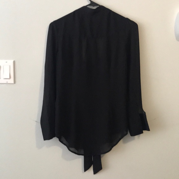 Sheer Blouse - Picture 4 of 5